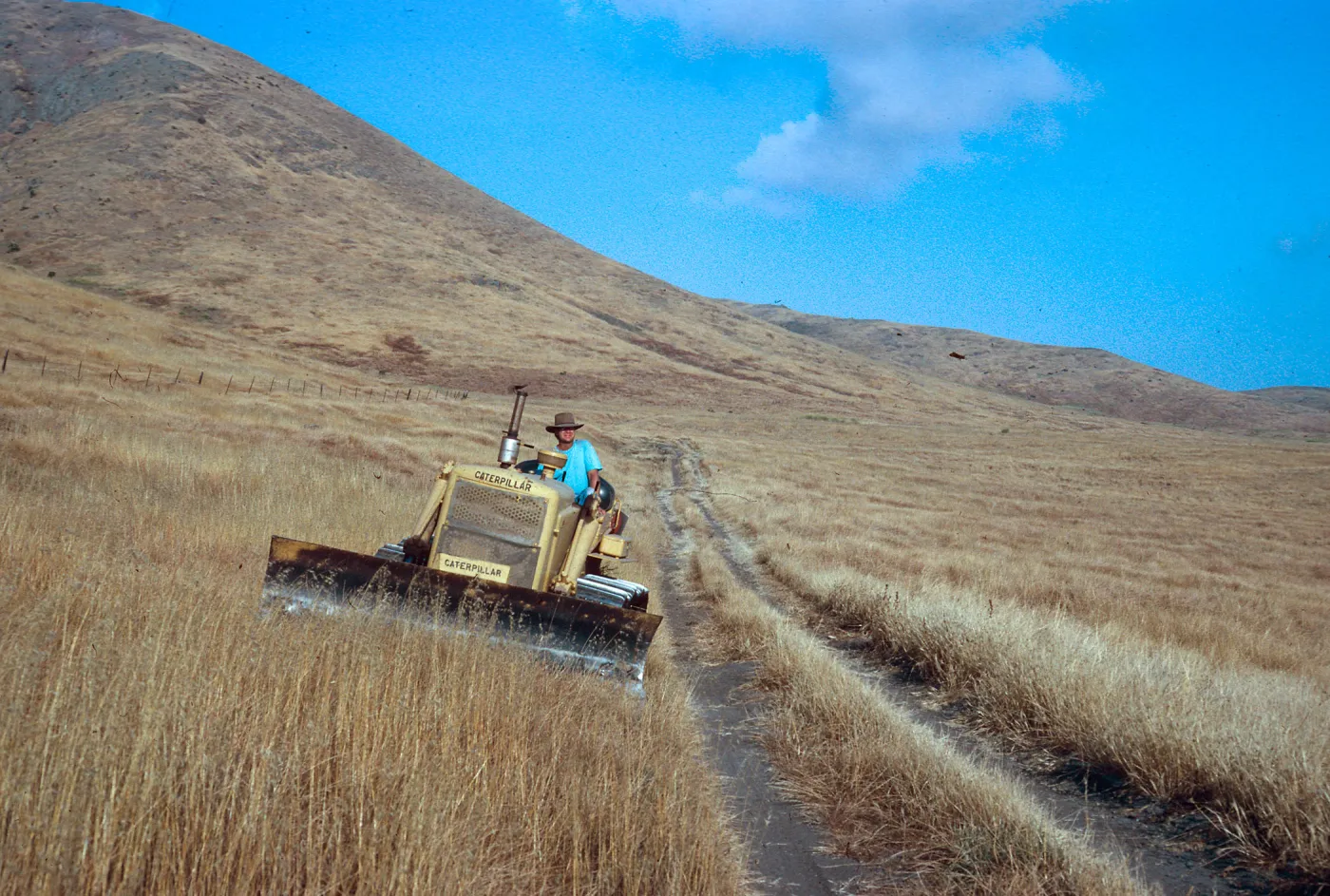 bulldozer, Dorian Devine, road to Fraser Point, Santa Cruz Island