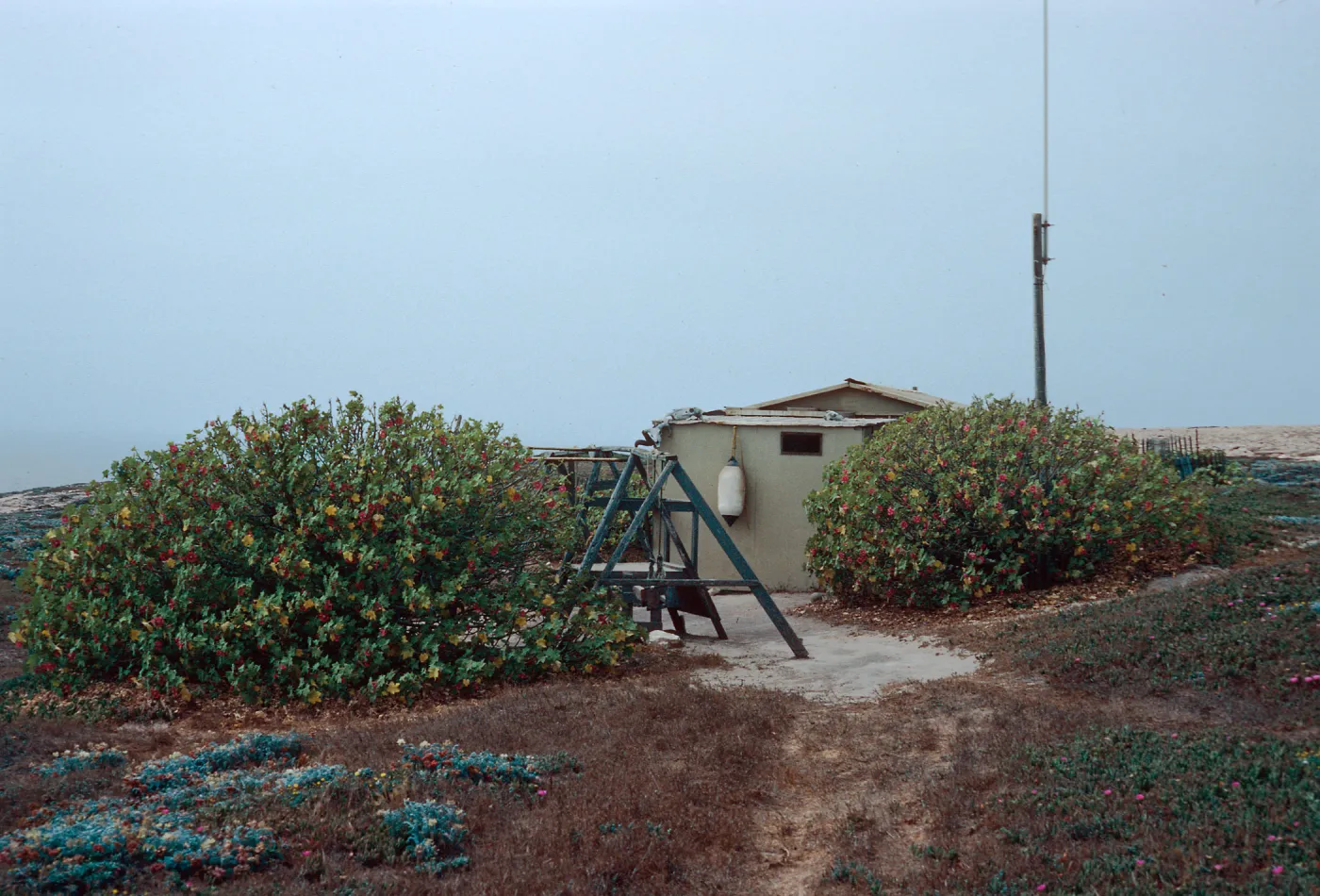 NOAA Research Station, West end, San Miguel Island