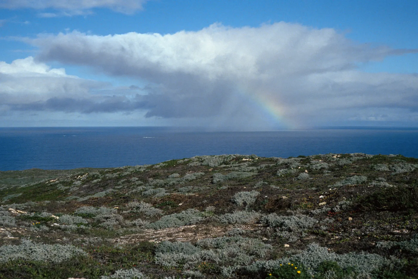 rainbow, near Cuyler Harbor, San Miguel Island