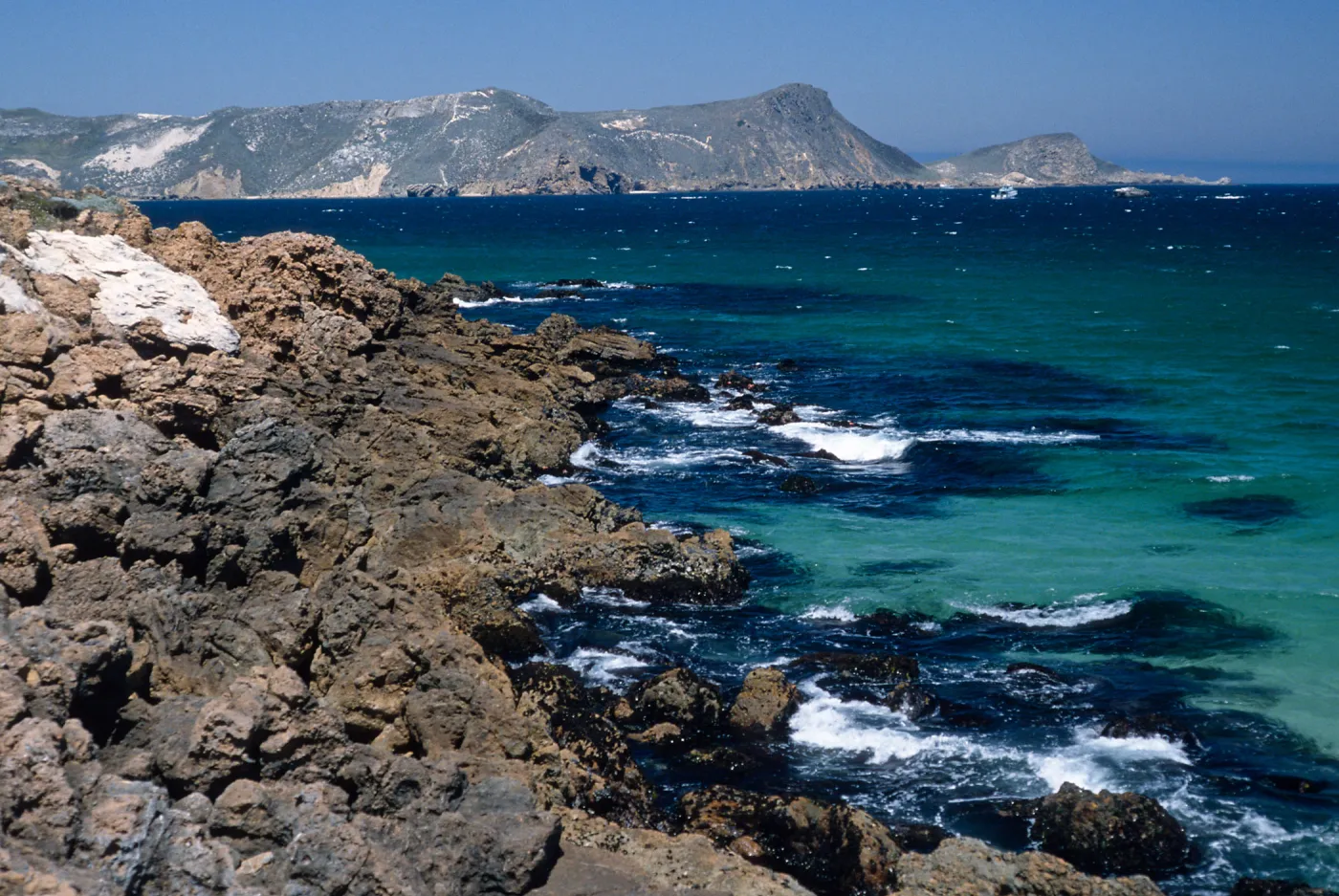 habitat of Malacothrix indecora, SJ #6056, San Miguel Island