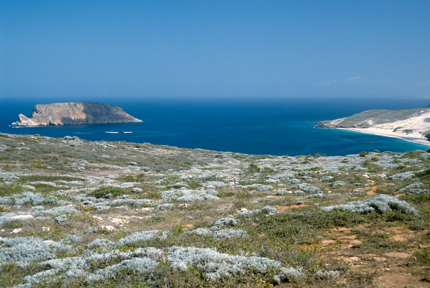 Prince Island view, Cuyler Harbor, San Miguel Island