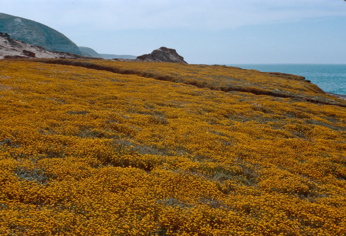 Santa Rosa Island
