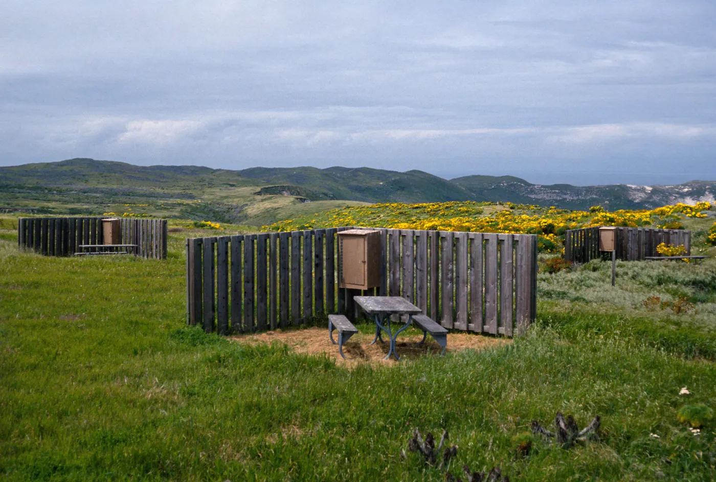 campground, San MIguel Island