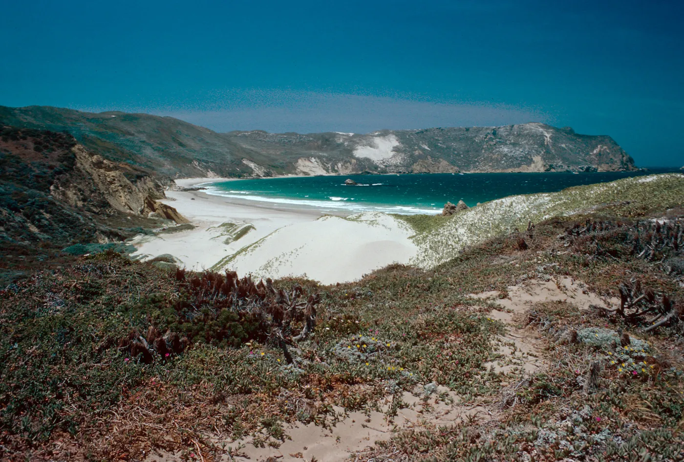 Cuyler Harbor, San Miguel Island
