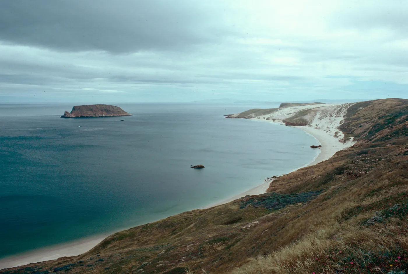 Cuyler Harbor - Prince Island, San Miguel Island