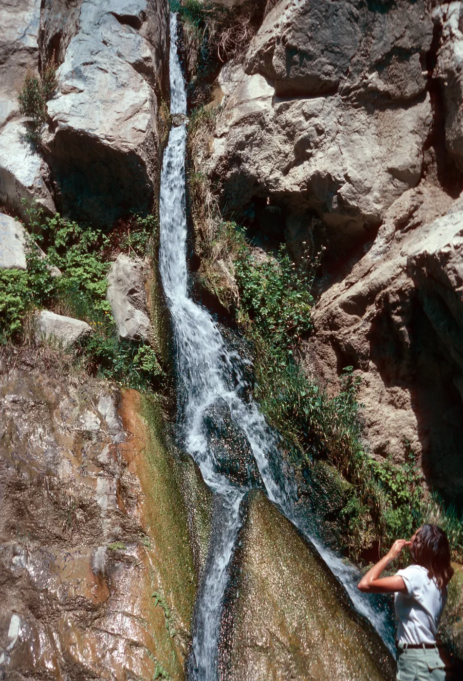 Darwin Falls, Panamint Valley, Inyo County