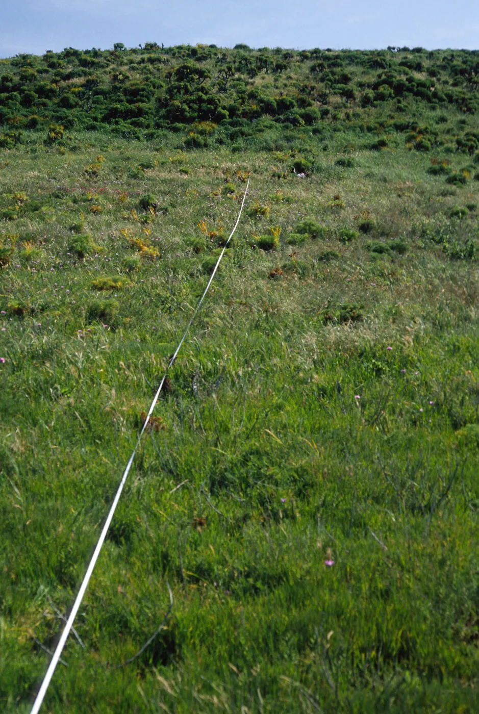 Transect #2, looking South, East Anacapa Island