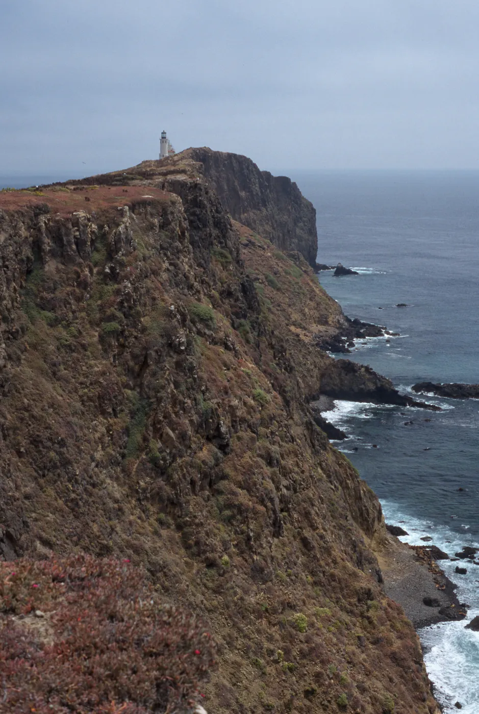 South bluffs, near lighthouse, East Anacapa Island