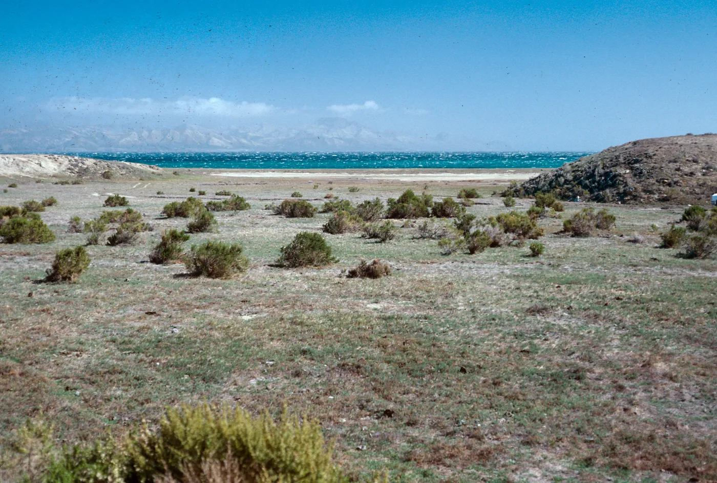 mouth of Old Ranch House Canyon, Santa Rosa Island