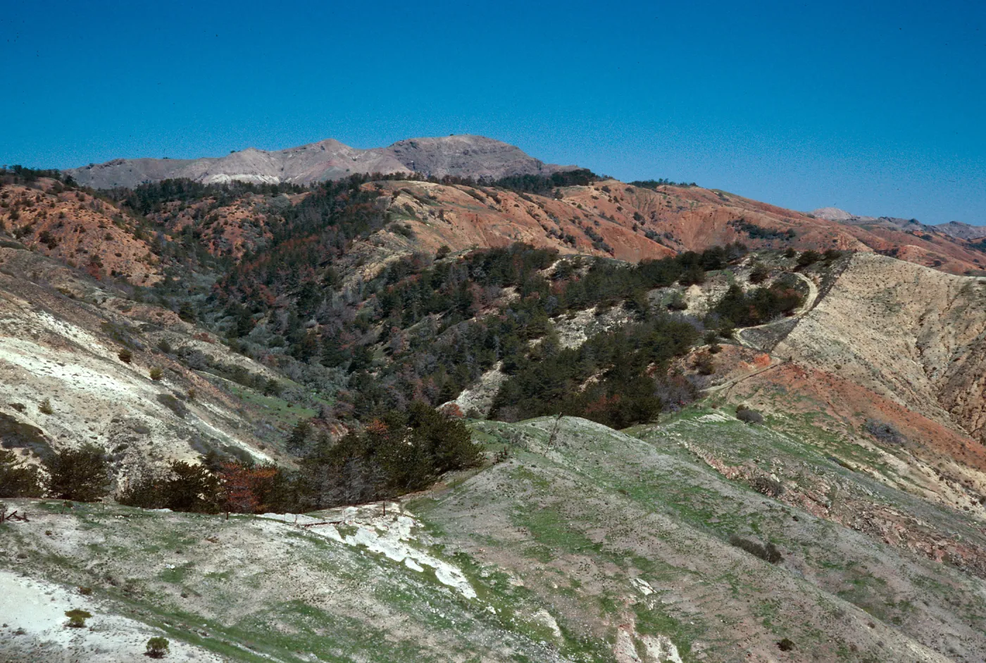 North end, Sierra Blanca ridge, looking North, Santa Cruz Island