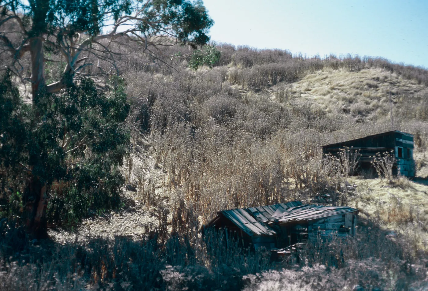 fishing shack, China Harbor, Santa Cruz Island