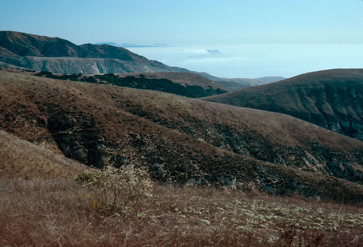fog near West Anacapa Island, from navy road, Santa Cruz Island