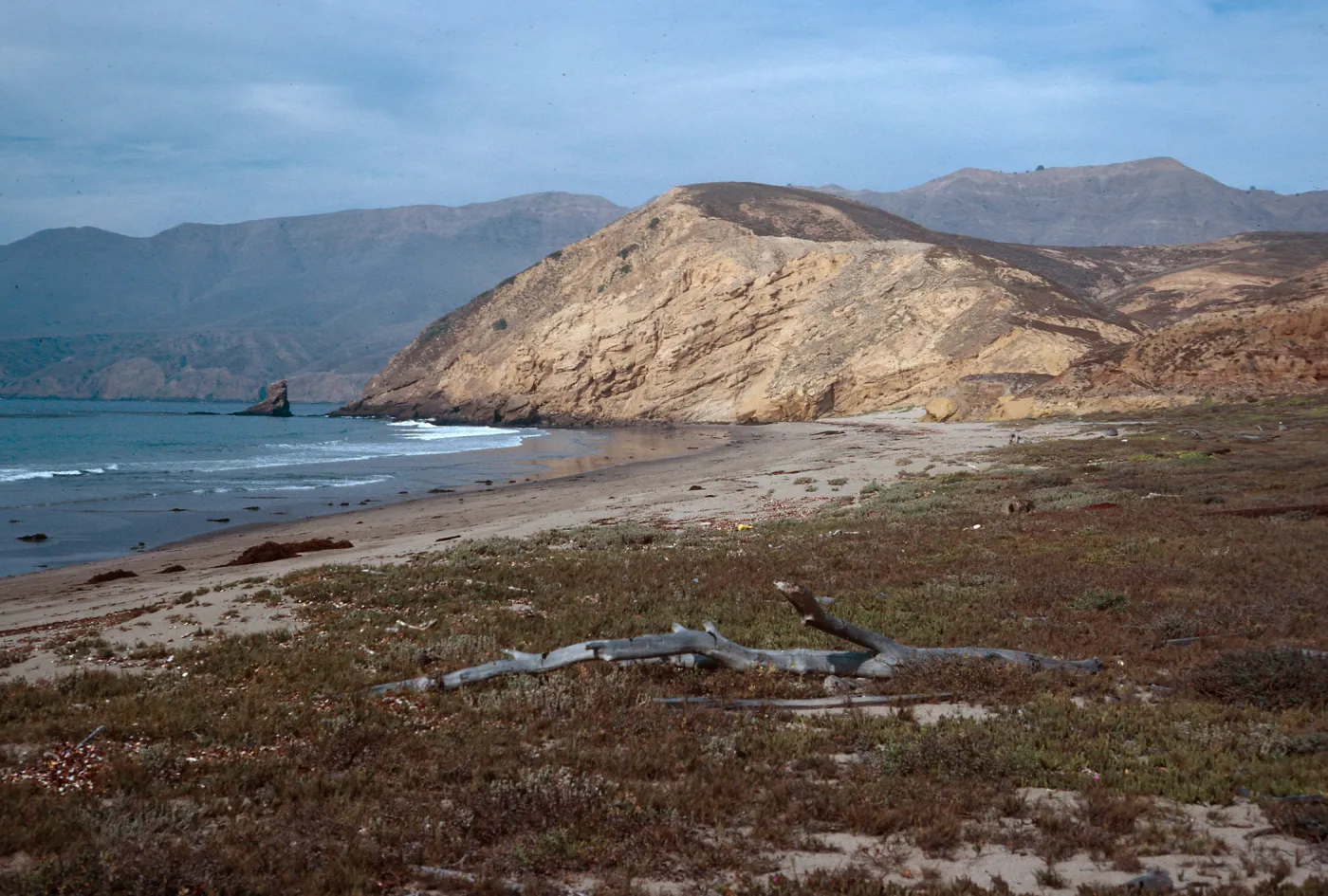 Sauces Beach, Santa Cruz Island