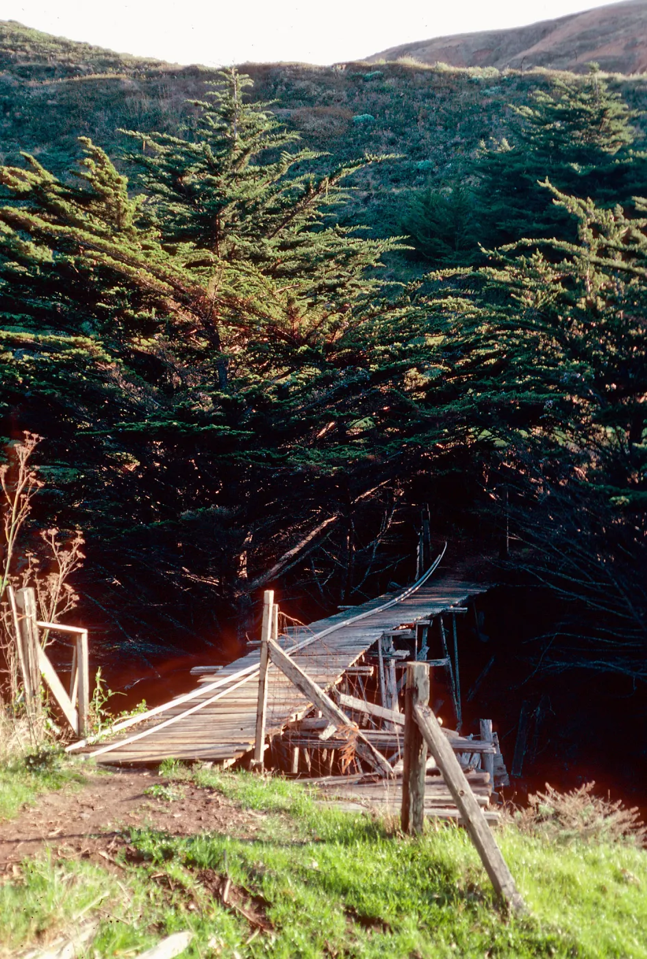 bridge, Christy Ranch, Santa Cruz Island