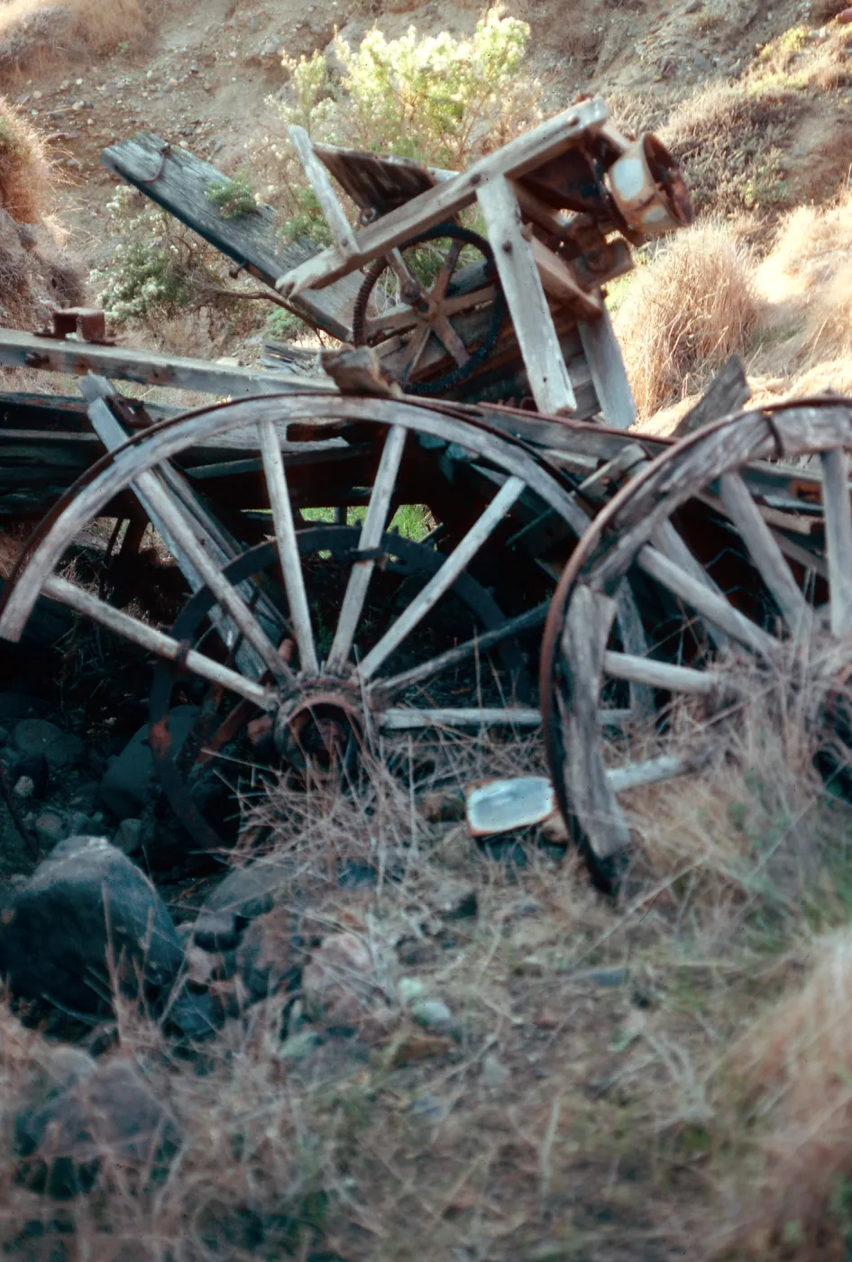 Wagon Gulch, near Christi Ranch, Santa Cruz Island