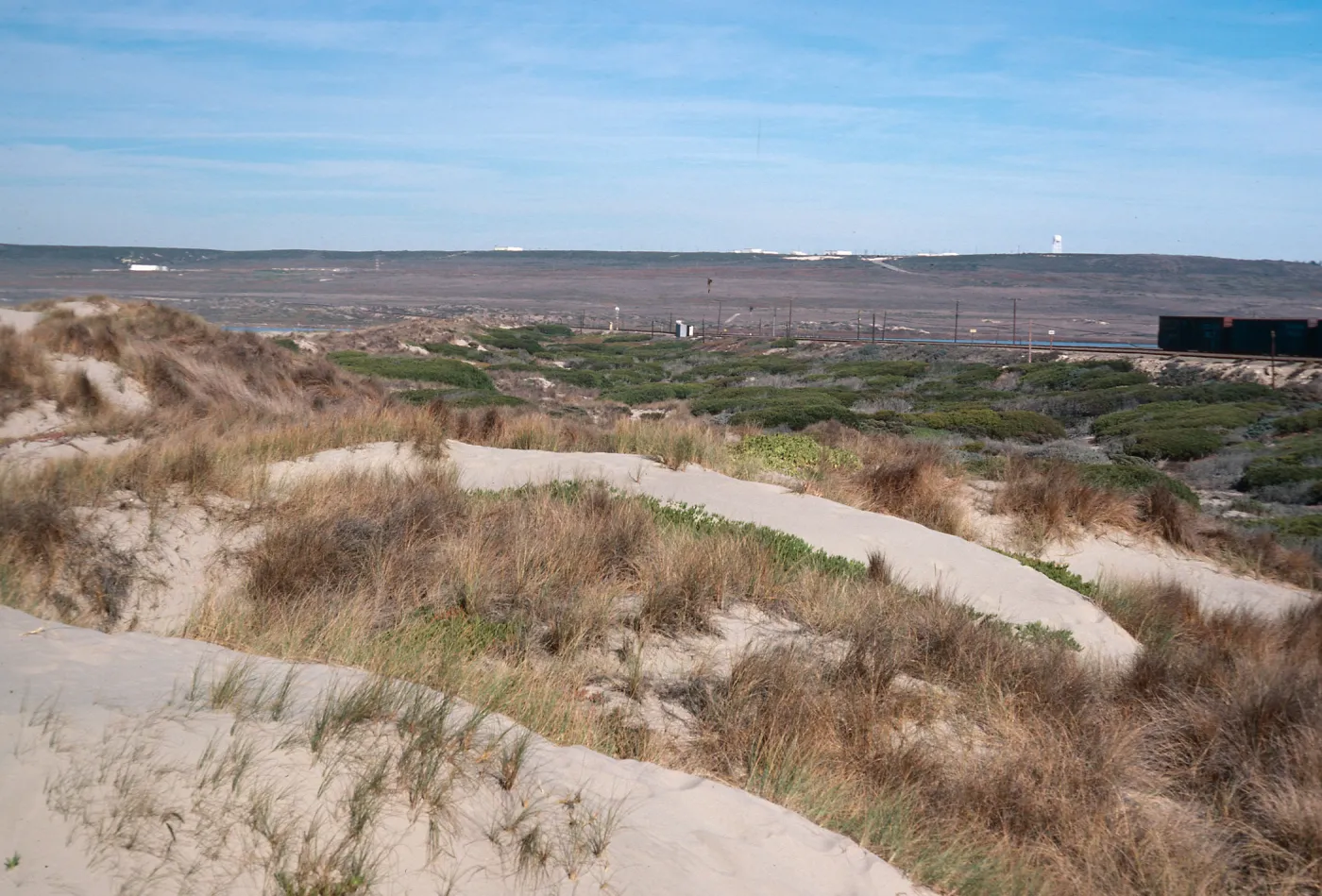 backdunes at surf, looking North, Santa Ynez River, Santa Barbara County