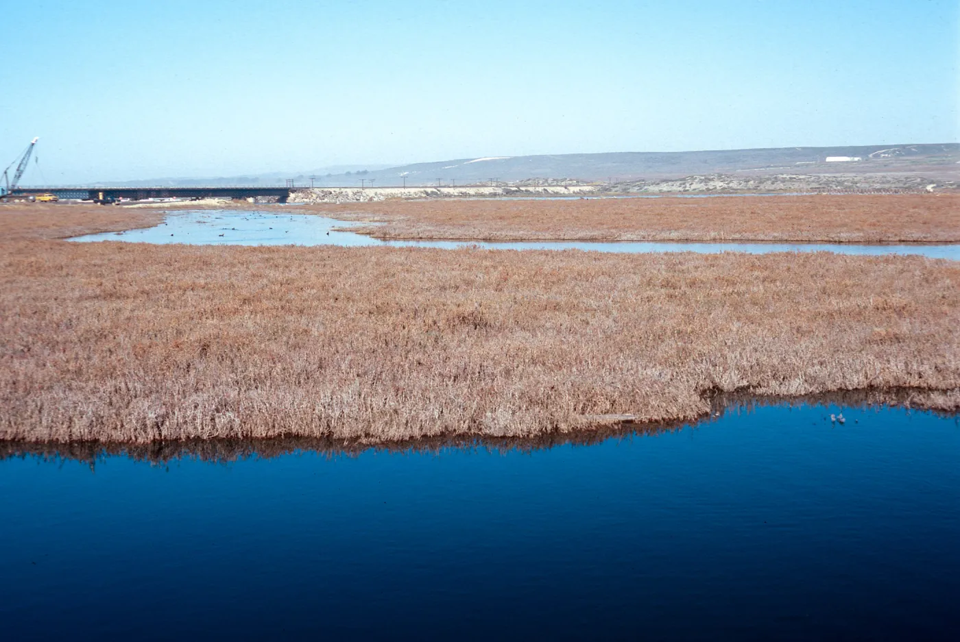 Surf, salt marsh at Ocean Park, Santa Ynez River, Santa Barbara County