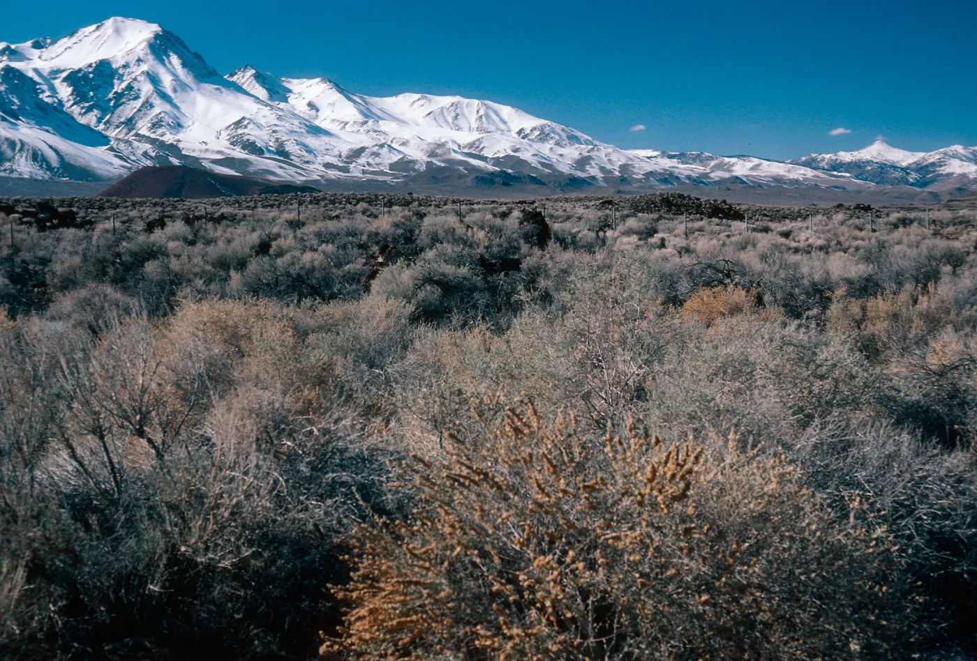 Sierra Nevada, 10 miles North of Independence, Inyo County
