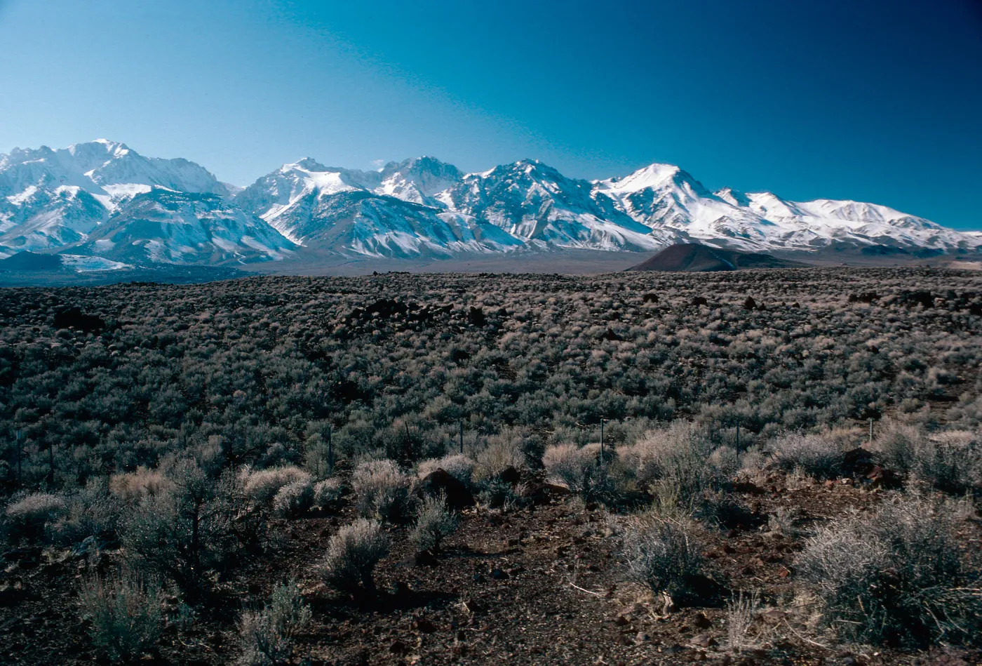 Sierra Nevada, 10 miles North of Independence, Inyo County