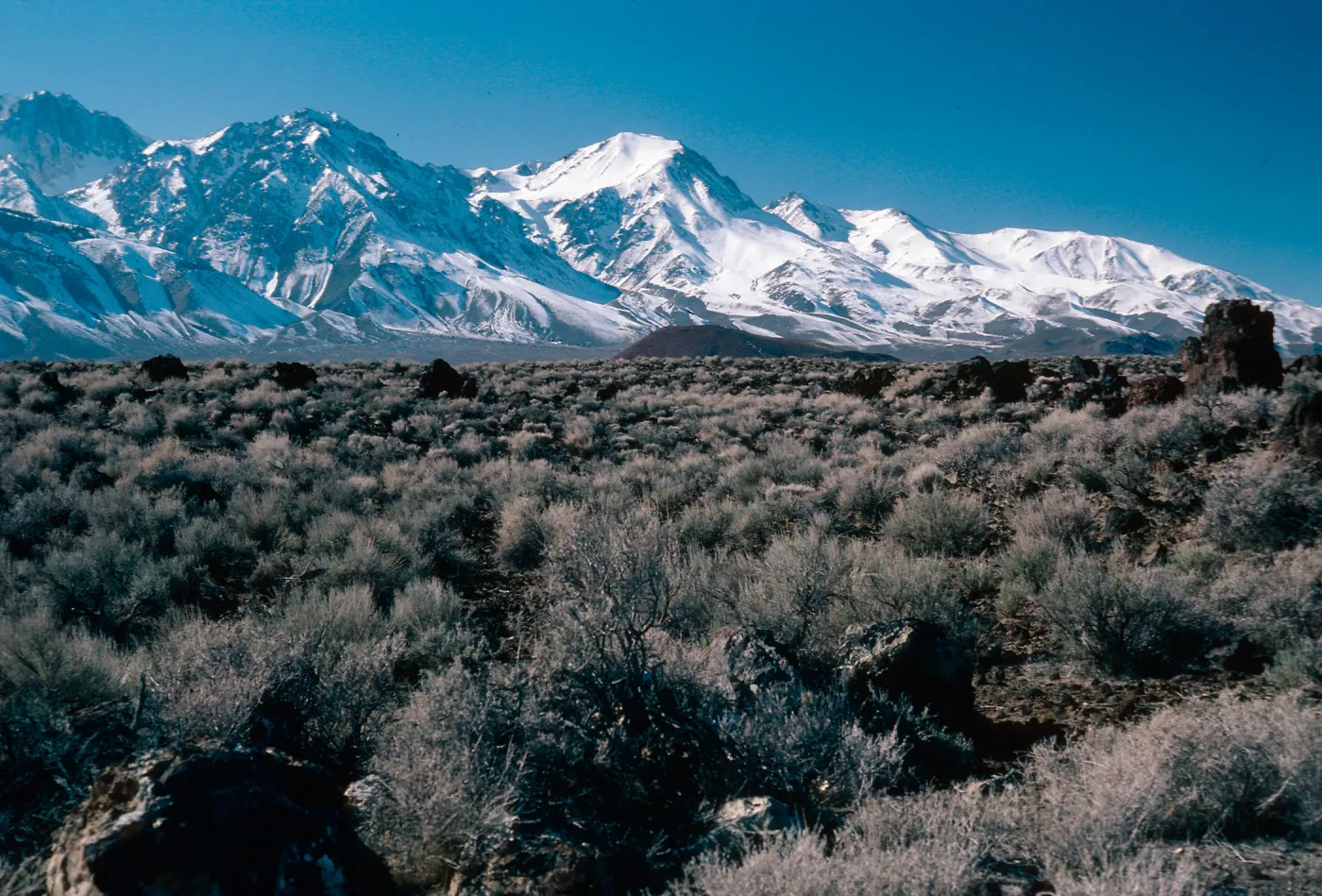 Sierra Nevada, 10 miles North of Independence, Inyo County