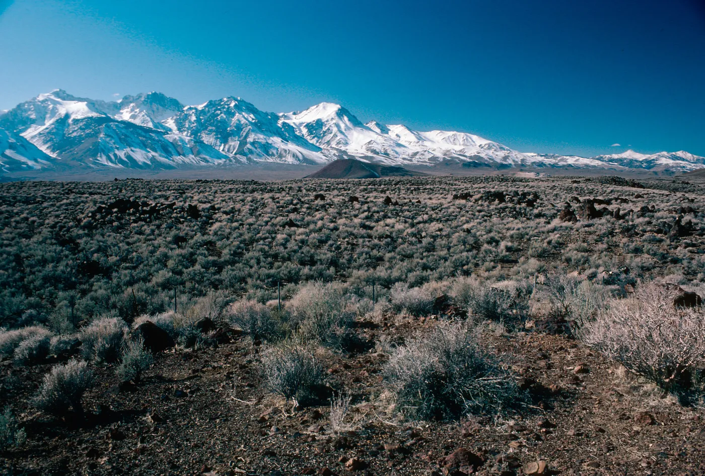 Sierra Nevada, 10 miles North of Independence, Inyo County