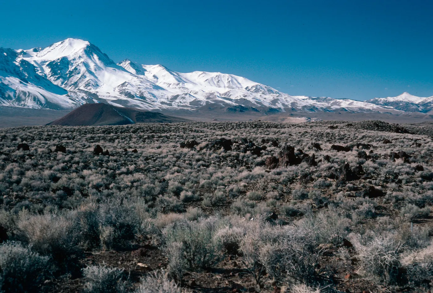 Sierra Nevada, 10 miles North of Independence, Inyo County