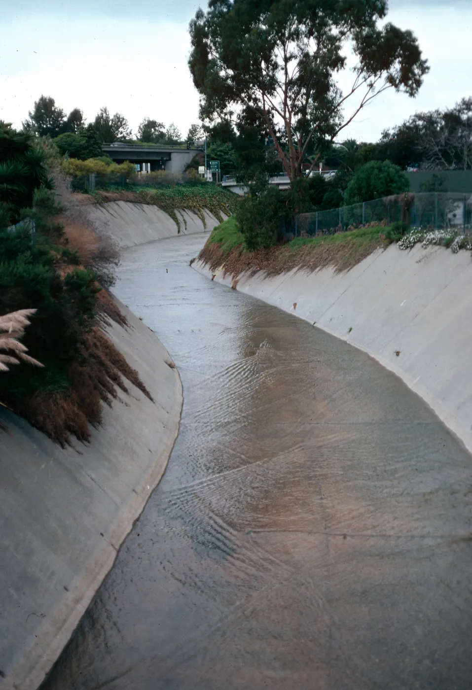 Mission Creek by Highway 101, Santa Barbara County