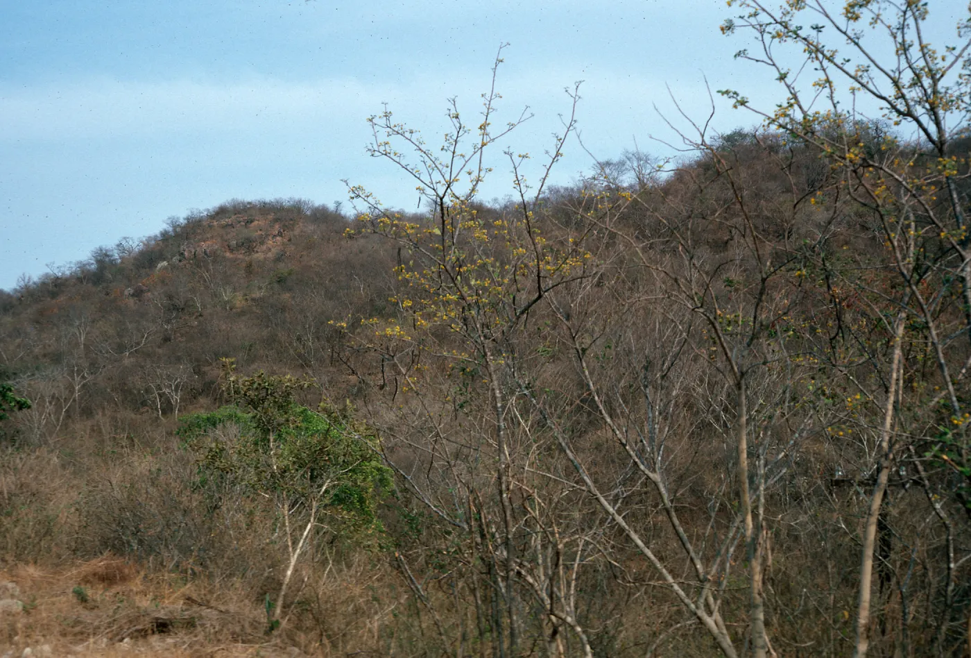 Mazatlan-Durango Highway, Mexico