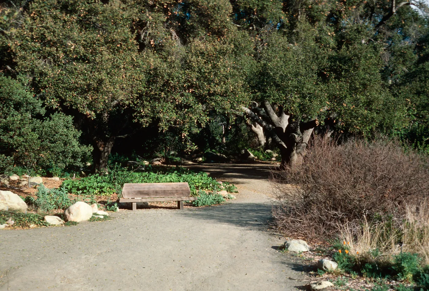 Santa Barbara Botanic Garden