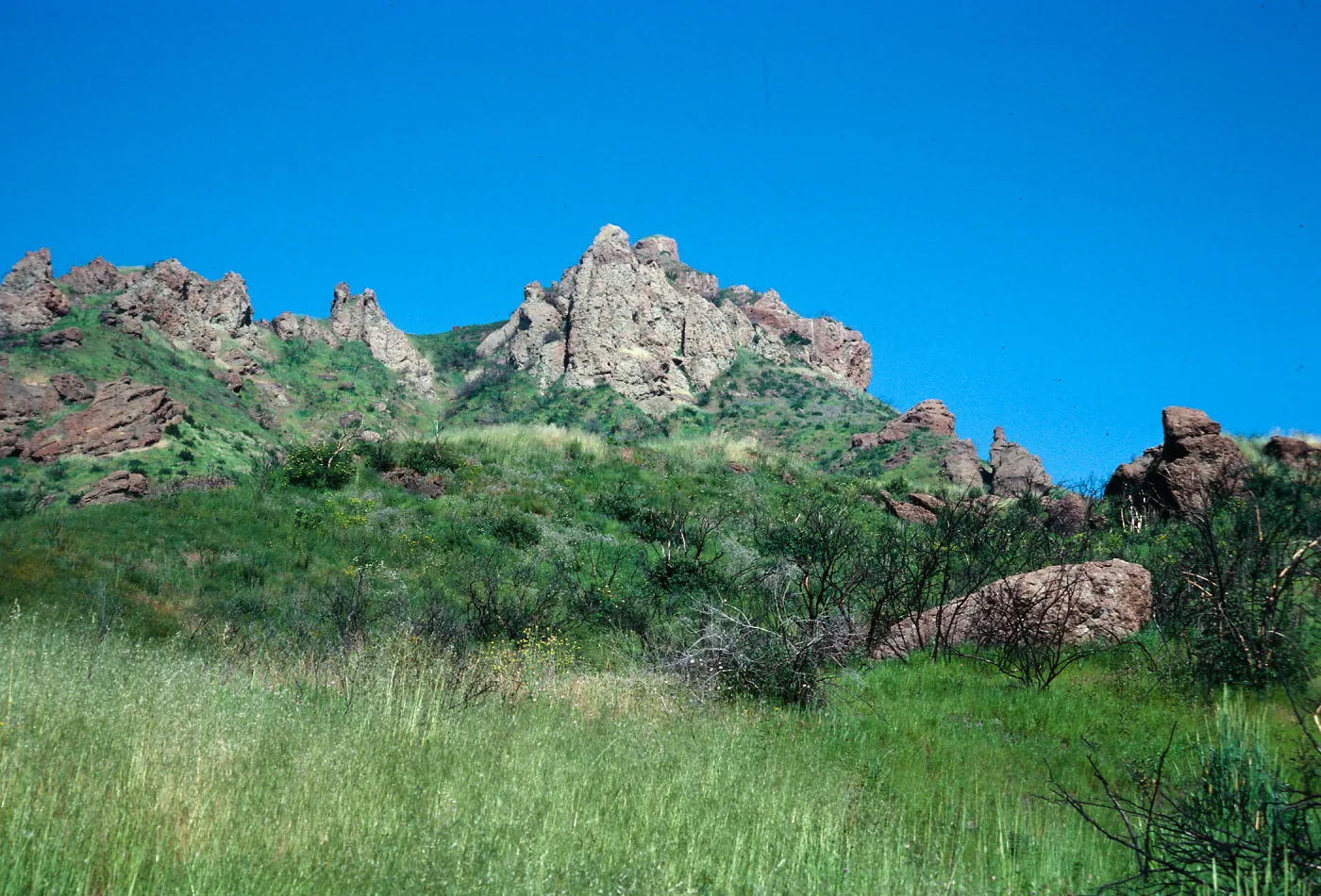 North of Encinal Canyon, Santa Monica Mountains, Los Angeles County 