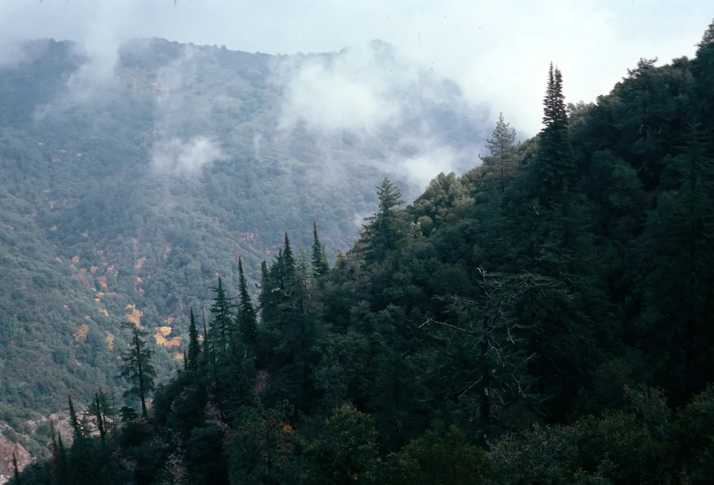 Cone Peak, Santa Lucia Mountains, Big Sur, Monterey County