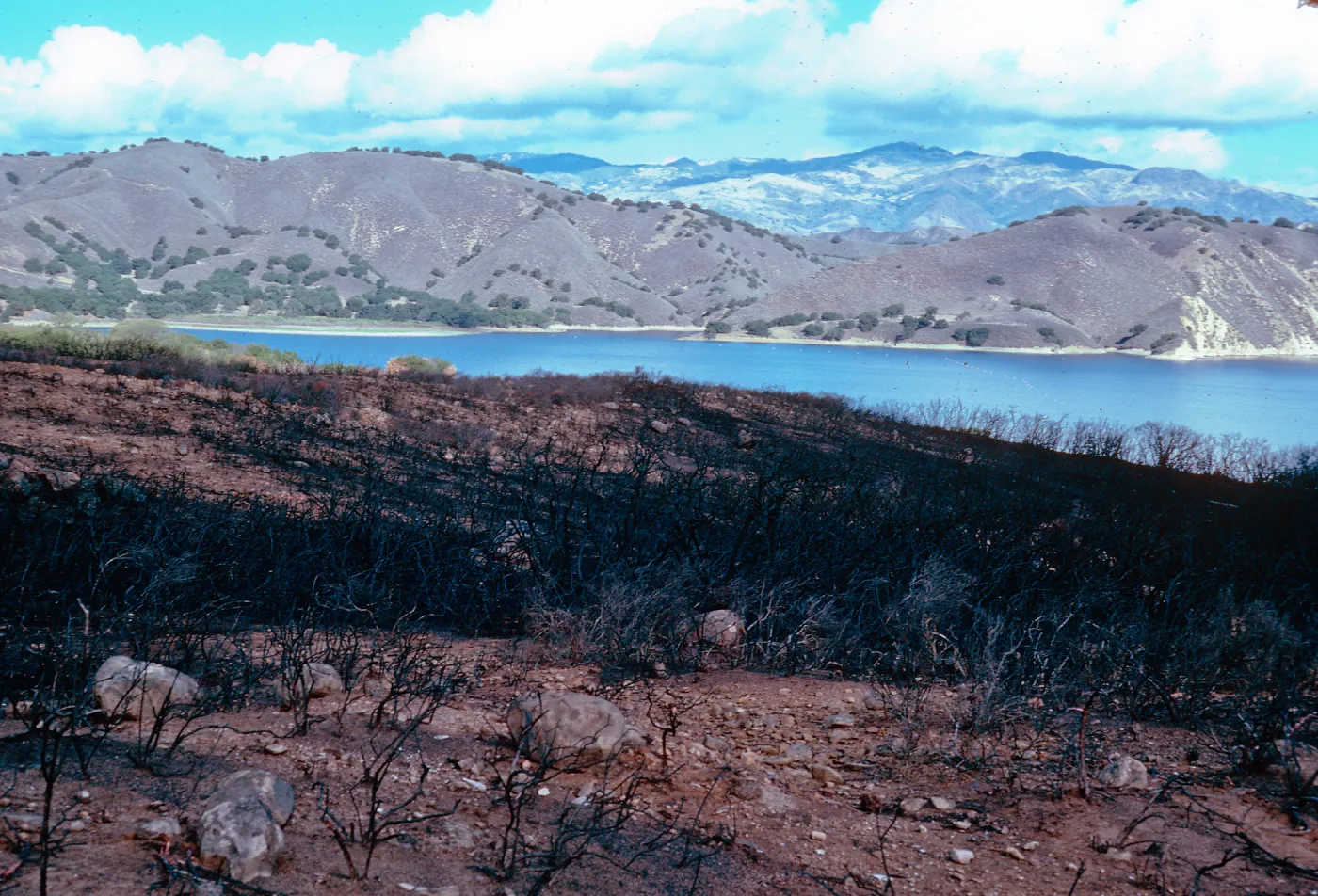 Lake Cachuma burn, at road to Bradbury Dam overview, Santa Barbara County