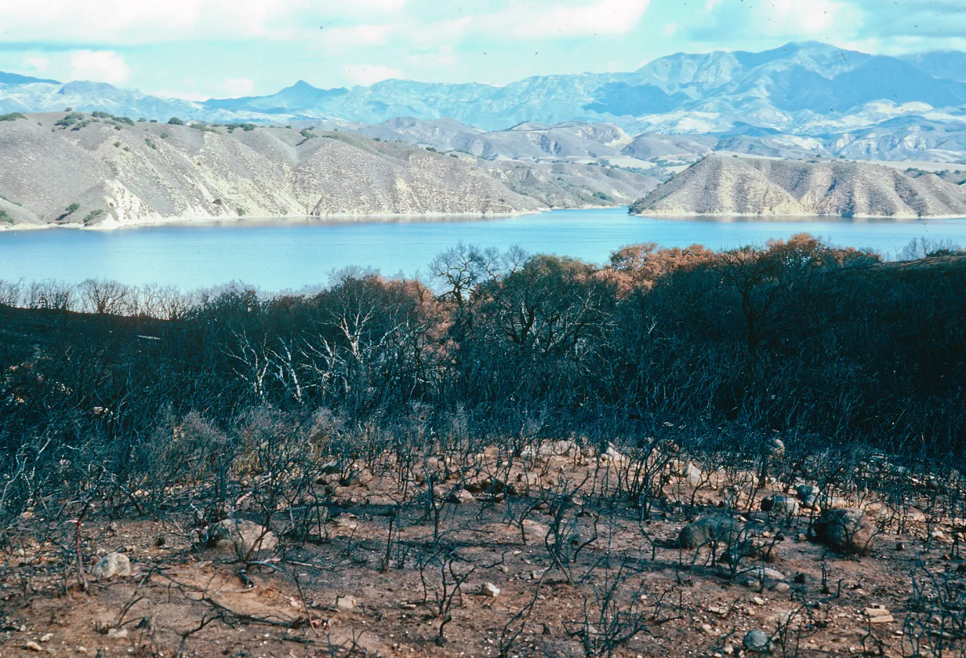 Lake Cachuma burn, at road to Bradbury Dam overview, Santa Barbara County