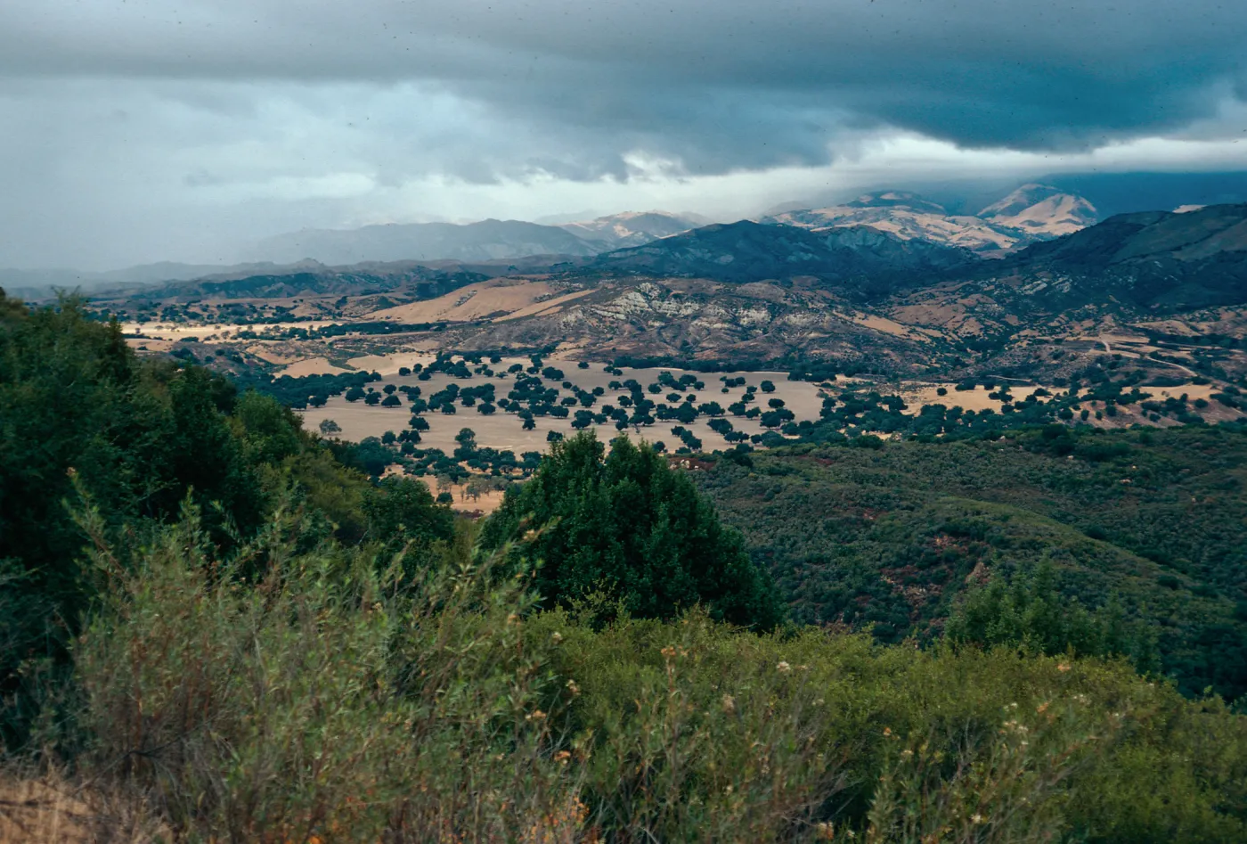 Oak Savannah & view of backcountry overlook-Highway 154, Santa Barbara County