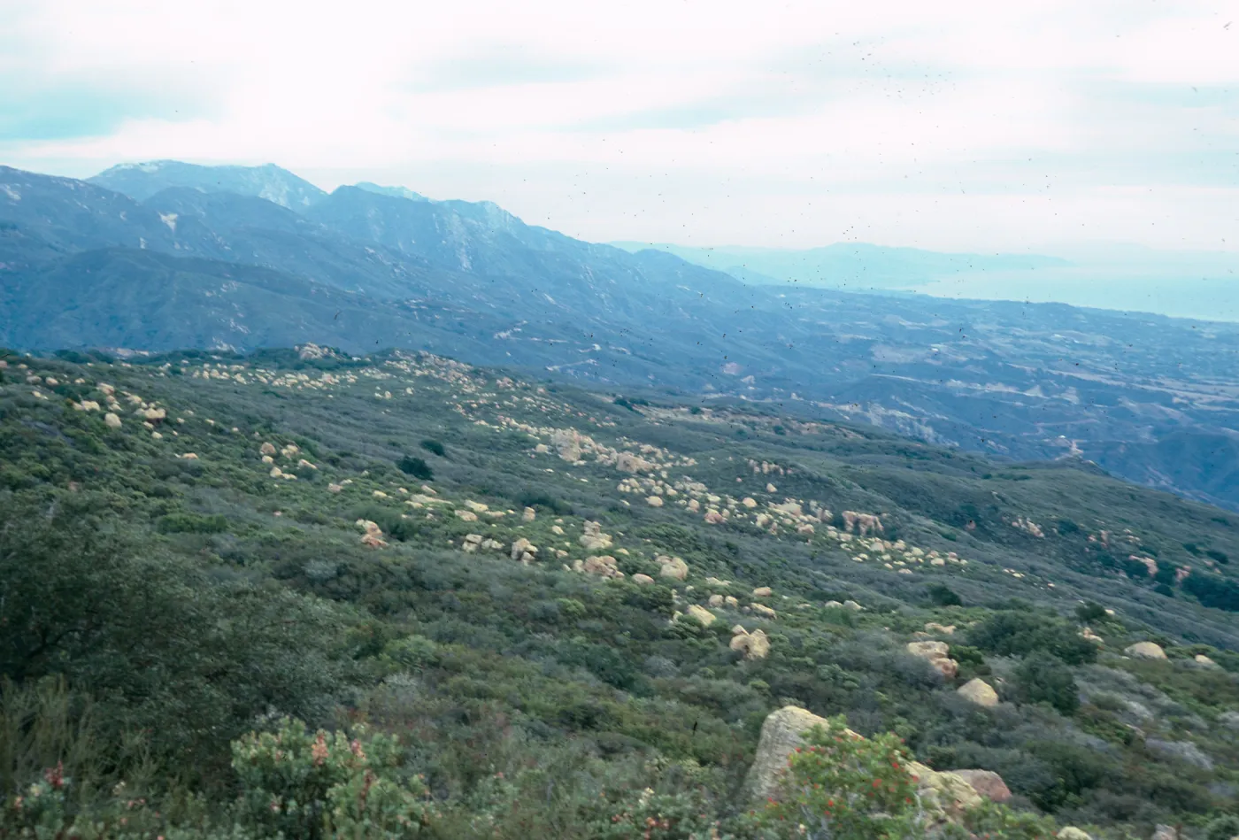 view of Santa Barbara, from West Camino Cielo