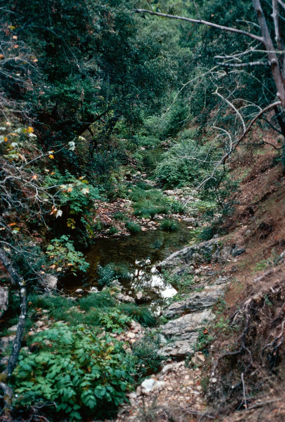 Big Falls Canyon Trail, Lopez Canyon, Santa Lucia Mountains, San Luis Obispo County
