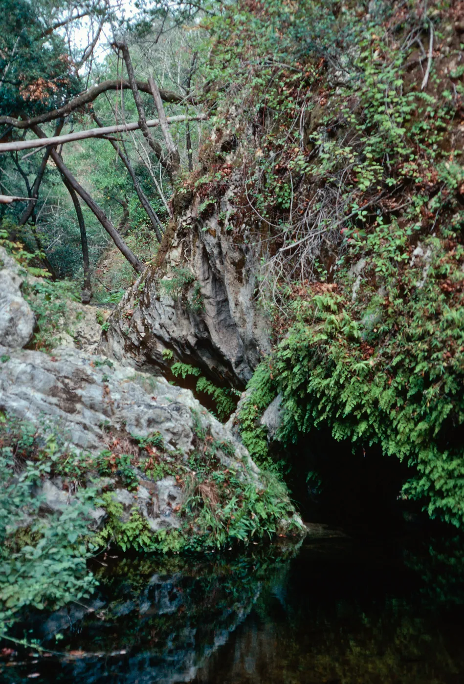 Big Falls Canyon Trail, Lopez Canyon, Santa Lucia Mountains, San Luis Obispo County