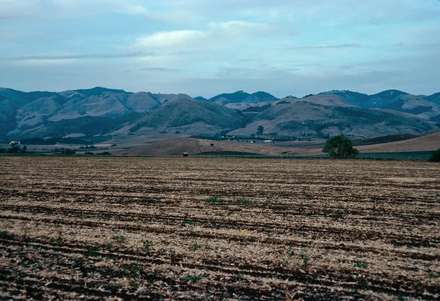 Santa Lucia Mountains from Orcutt Road, South of San Luis Obispo, San Luis Obispo County