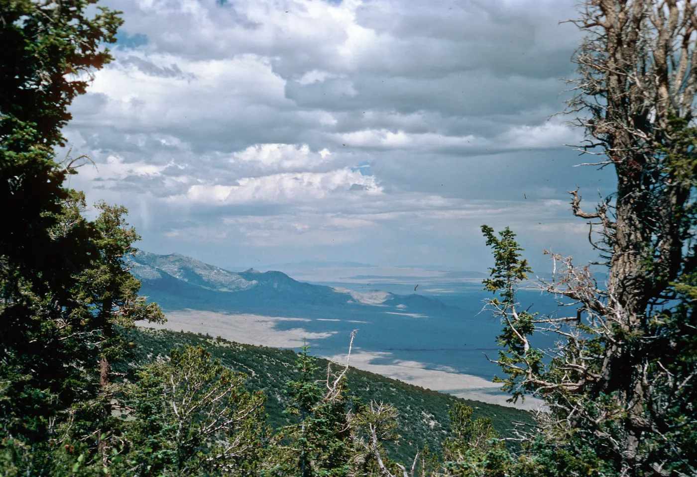 valley, East of Wheeler Peak, Nevada