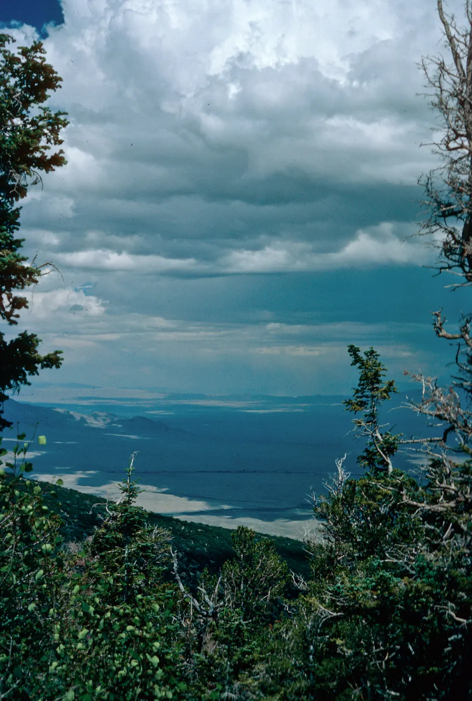 valley, East of Wheeler Peak, Nevada