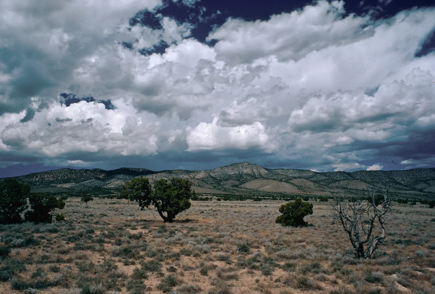 valley between Conners Pass & Wheeler Peak, Conners range from East side. Nevada