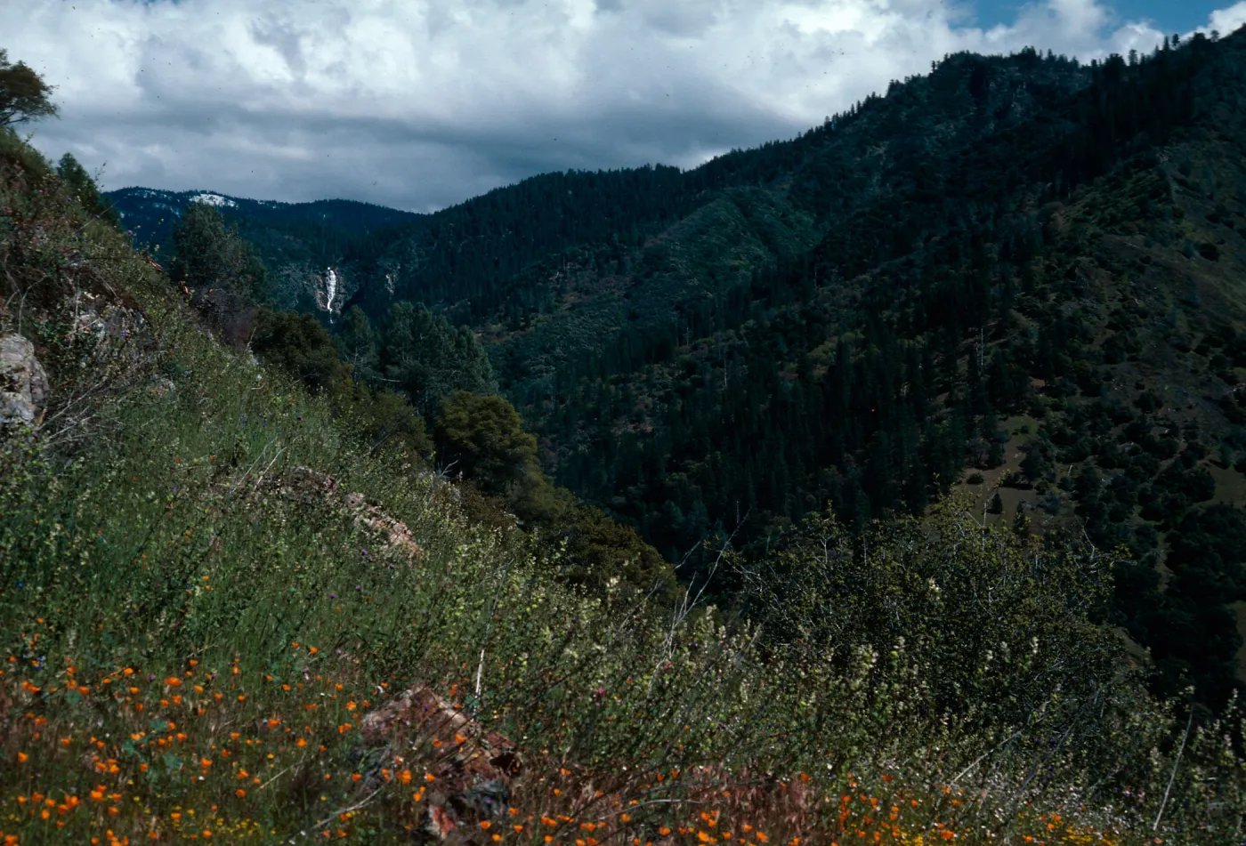 Indian Creek Falls, view toward Yosemite Valley, El Portal, Yosemite National Park, Mariposa County