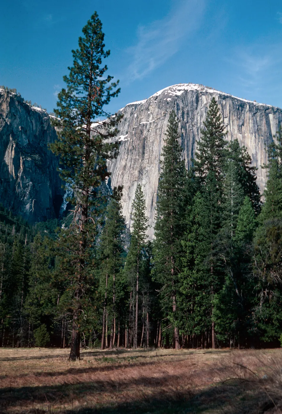 across from Bridal Veil Falls, Yosemite National Park, Mariposa County