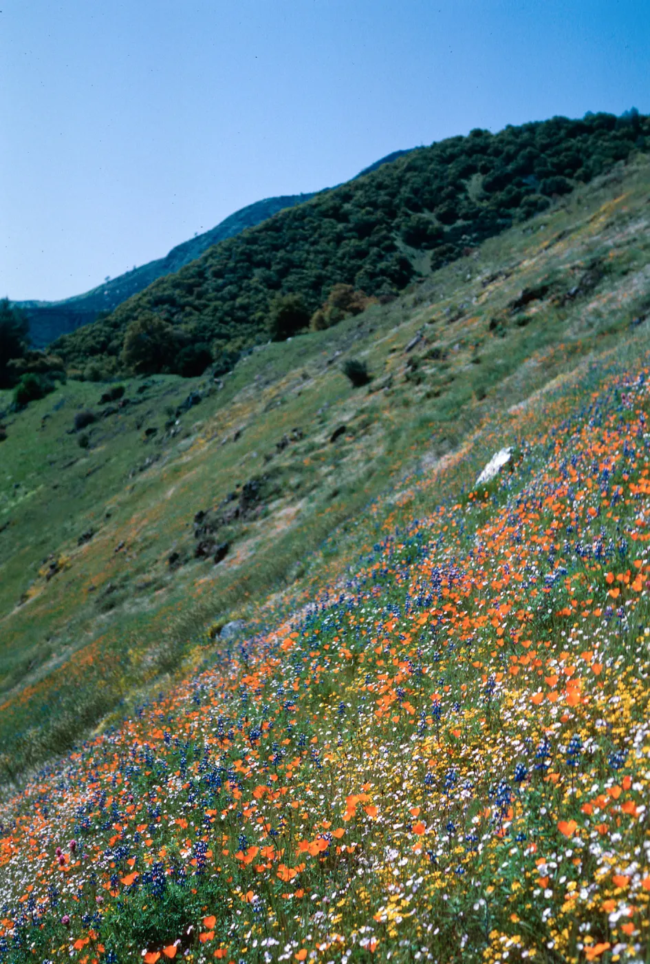 El Portal, Yosemite National Park, Mariposa County
