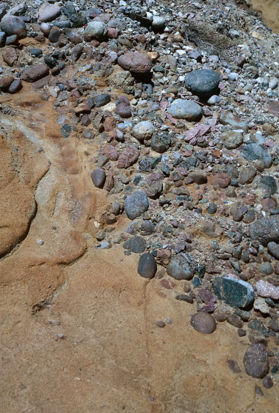cobbles, lower Sauces Canyon, Santa Cruz Island