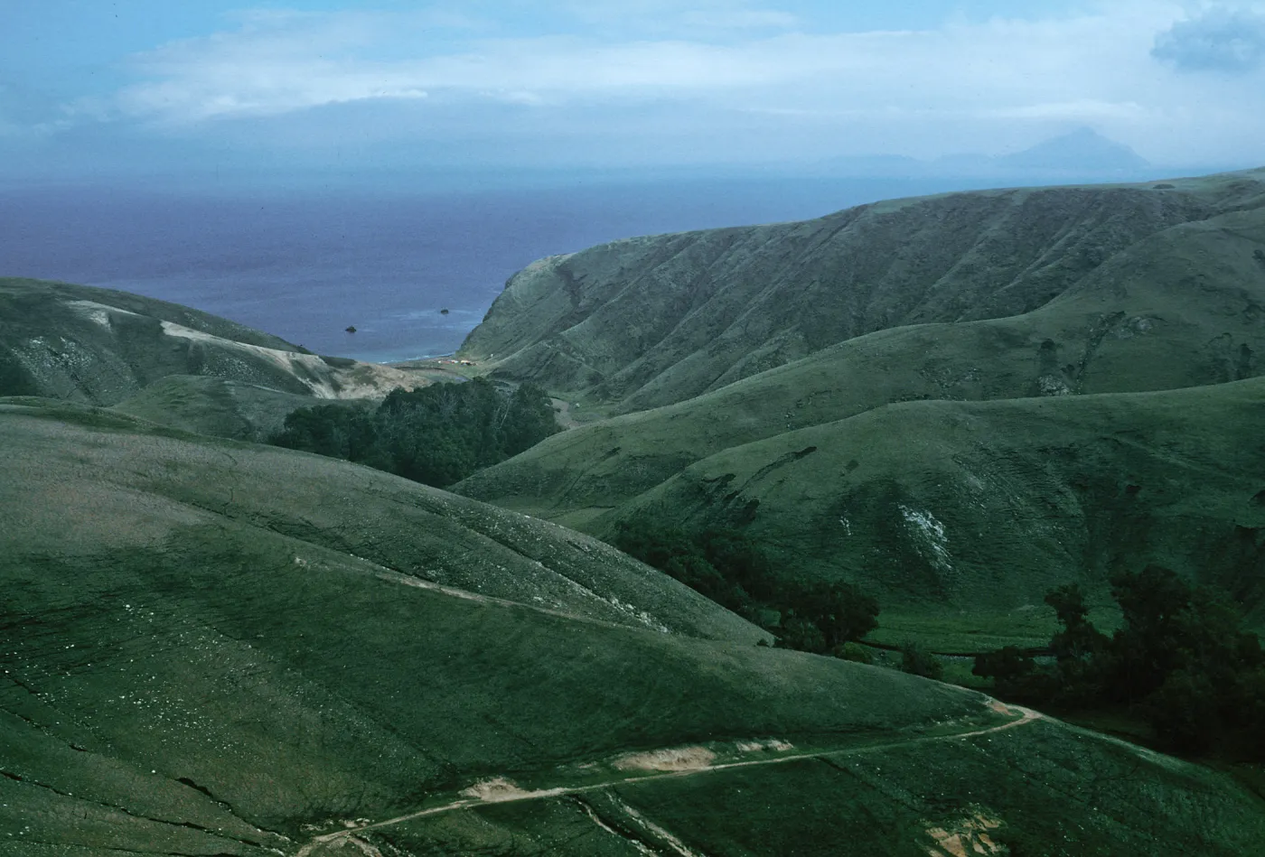 Scorpion Canyon, Santa Cruz Island