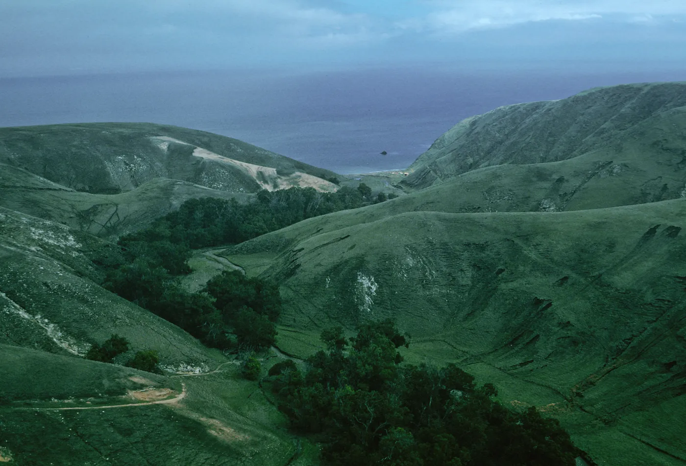 Scorpion Canyon, Santa Cruz Island