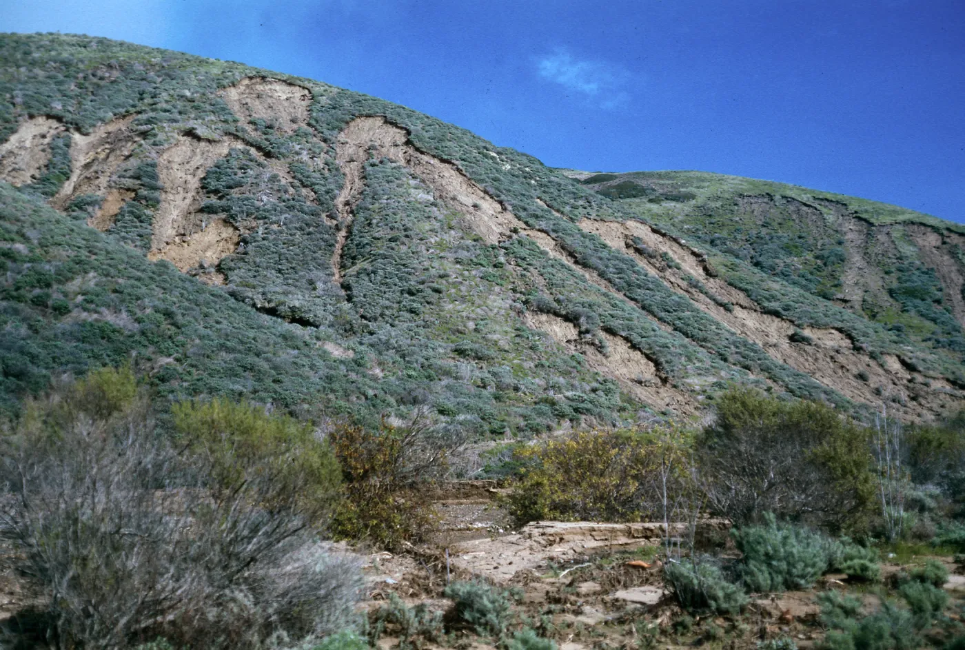 erosion, Coastal Sage Scrub, CaÃ±ada Cedada, Santa Cruz Island