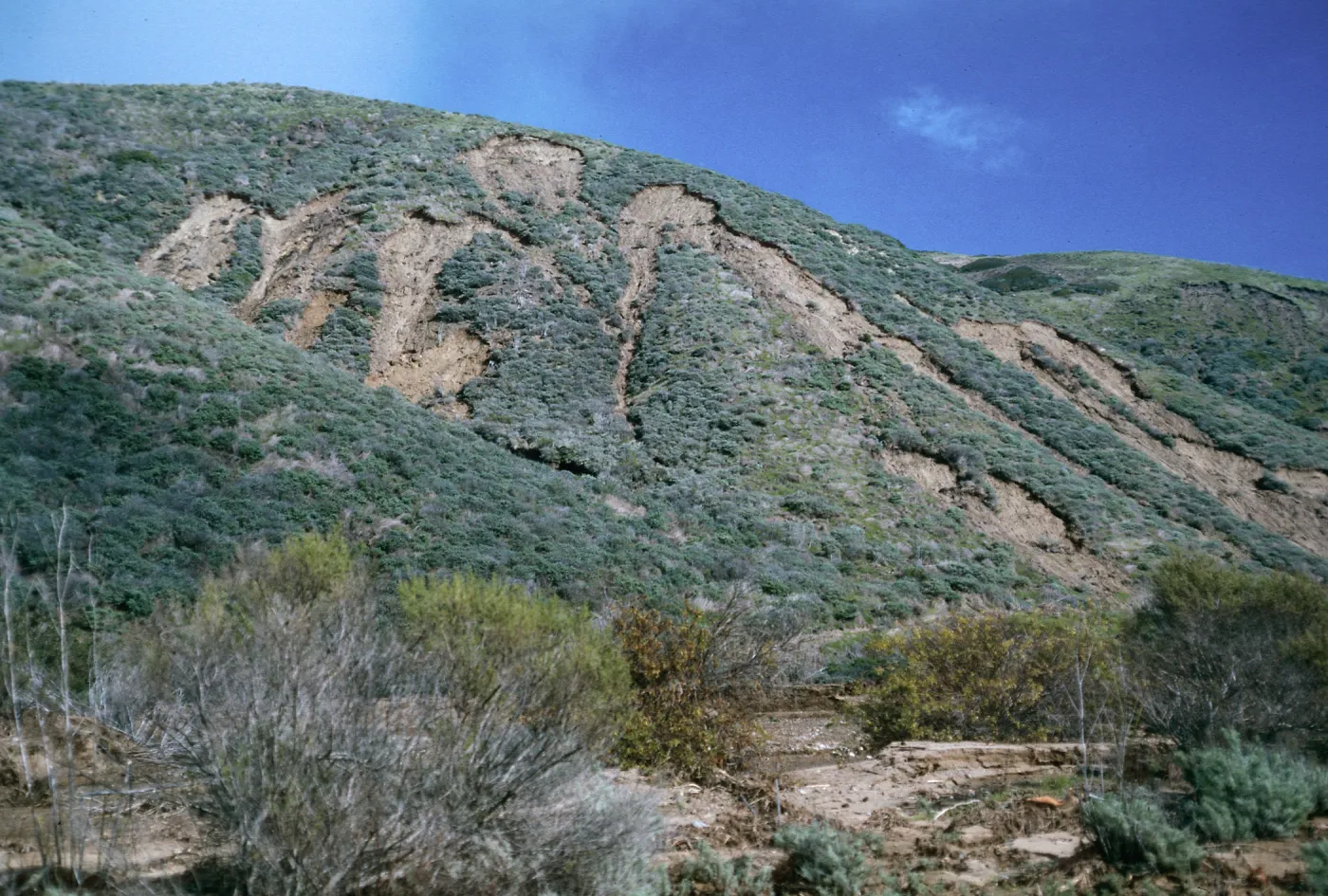erosion, Coastal Sage Scrub, CaÃ±ada Cedada, Santa Cruz Island