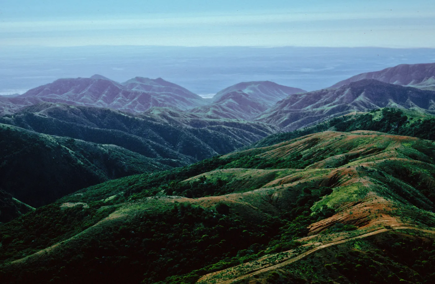 Horqueta & Alamos Canyons, Santa Cruz Island